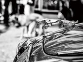 80 x 60 cm - Glasschilderij - jaguar auto - schilderij fotokunst - foto print op glas