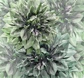 Komar Emerald Flowers Vlies Fotobehang 300x280cm 6-Banen