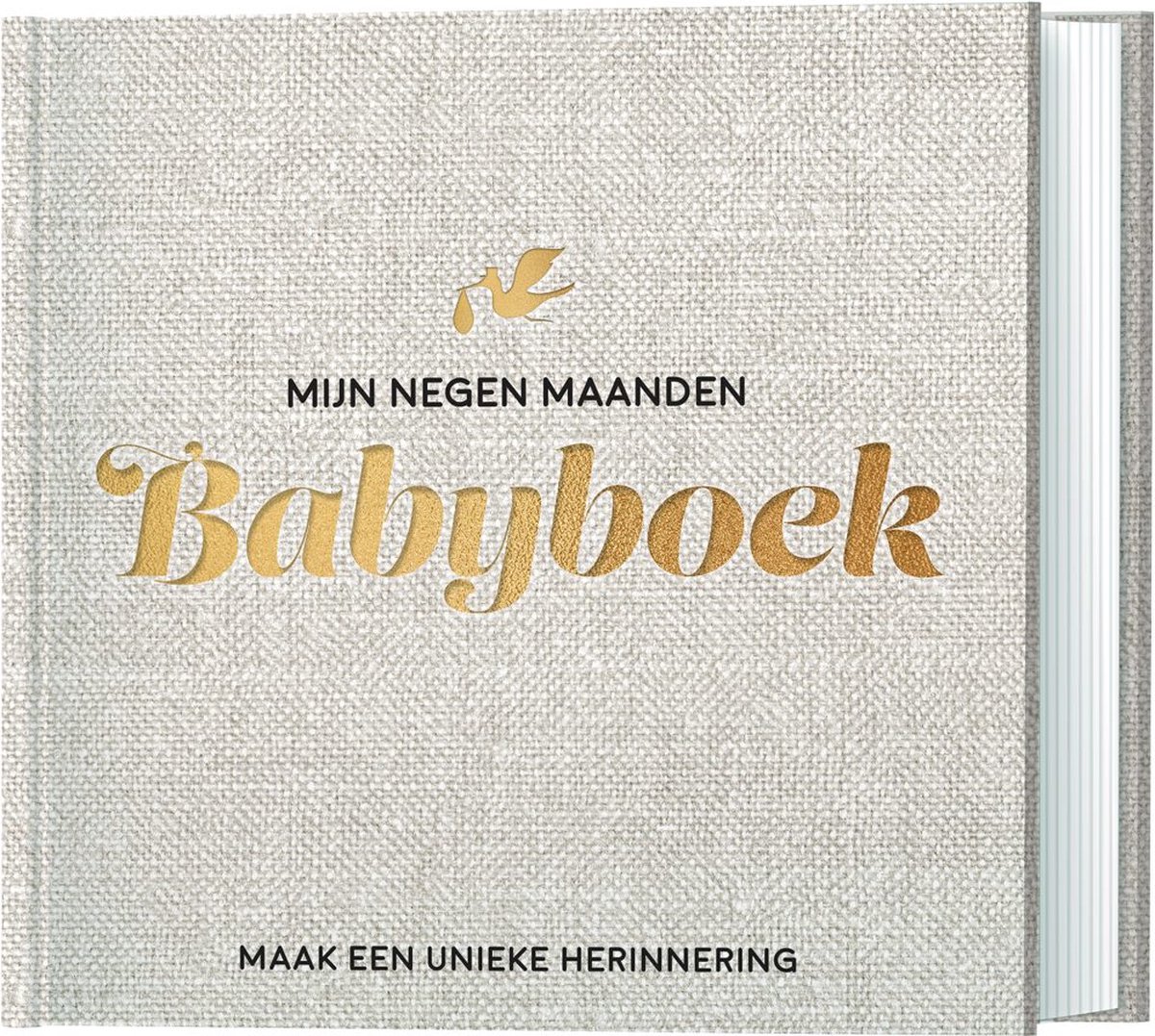 Lantaarn Mijn Negen Maanden Babyboek - Maak Een Unieke Herinnering - Lantaarn Publisher
