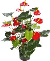 Anthurium de Luxe Red- kunstplant