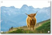Schattige Schotse Hooglander - Tuinposter 90x60 - Wanddecoratie - Dieren - Natuur