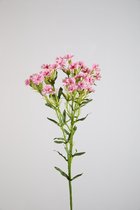 Kunstbloem Royal Dianthus - topkwaliteit decoratie - Roze - zijden tak - 76 cm hoog