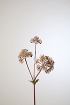Kunstbloem Angelica - topkwaliteit decoratie - Naturel - zijden tak - 74 cm hoog - 2 stuks