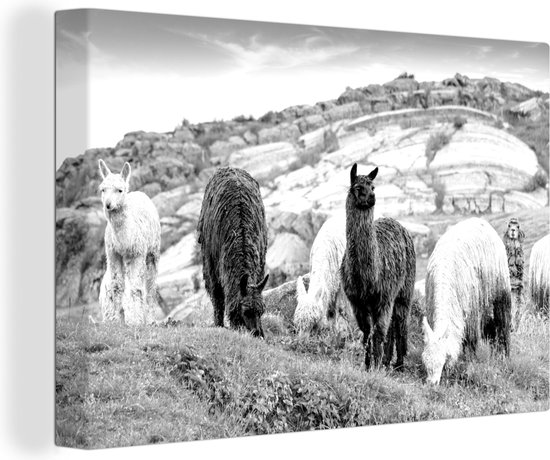 Canvas Schilderij Alpaca in Peru - zwart wit - 30x20 cm - Wanddecoratie