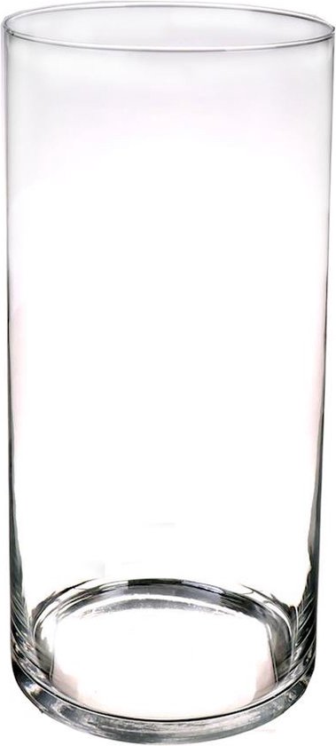 Bellatio Decorations Bloemenvaas basic - glas - H60 x D19 cm - Transparant - Vazen/vaas - Boeketvaas