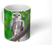 Mok - Uil zittend op tak - 350 ML - Beker - Uitdeelcadeautjes