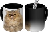 Magische Mok - Foto op Warmte Mok -  een kleurrijke Perzische kat - 350 ML - Uitdeelcadeautjes