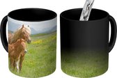 Magische Mok - Foto op Warmte Mok - Paarden - Veulen - Berg - 350 ML - Uitdeelcadeautjes