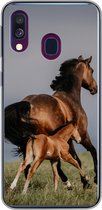 Geschikt voor Samsung Galaxy A40 hoesje - Dieren - Paarden - Veulen - Siliconen Telefoonhoesje