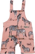 Zebra Family Romper Bio-Babykleertjes Bio-Kinderkleding