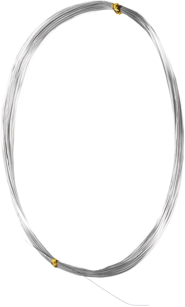 Draad, 38 gauge roestvrij staal, 0,1 mm, 20 m, buigzame bloemistische draad voor het maken van sieraden, sculpturen, armaturen, bloemistiek, bonsai, doe-het-zelf knutselprojecten