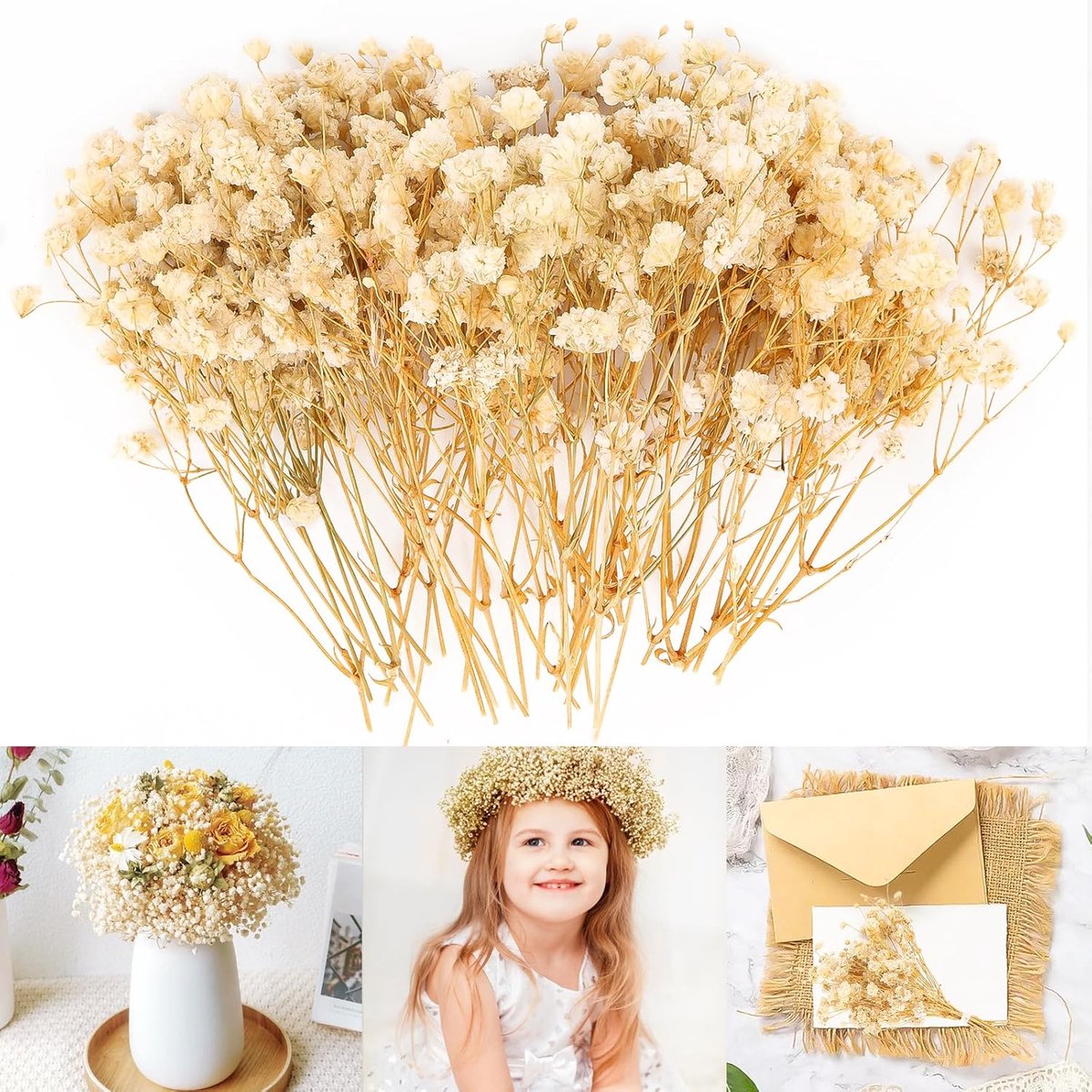 Dried flowers 15 cm - gedroogde bloemen - natuurlijk en fluffig - perfect voor DIY bruiloft decoratie - ShopVlot