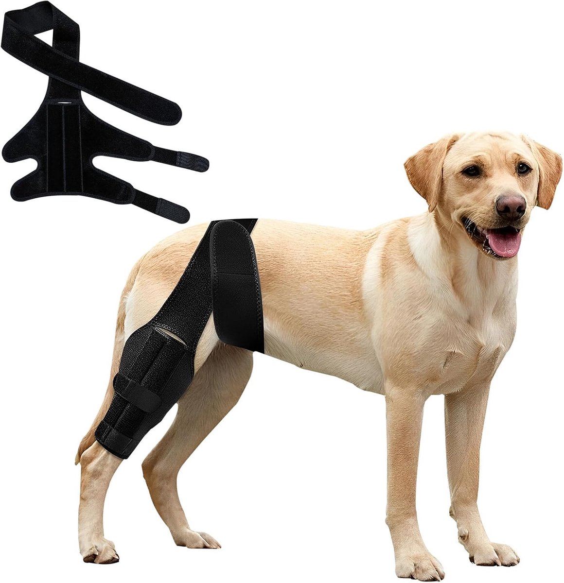 Knieorthese voor honden bij gescheurd voorste kruisband aan de achterpoot, verstelbare heupondersteuning voor honden bij patellaluxatie, hondenbeenorthese voor achter- of voorpoot met zijdelingse