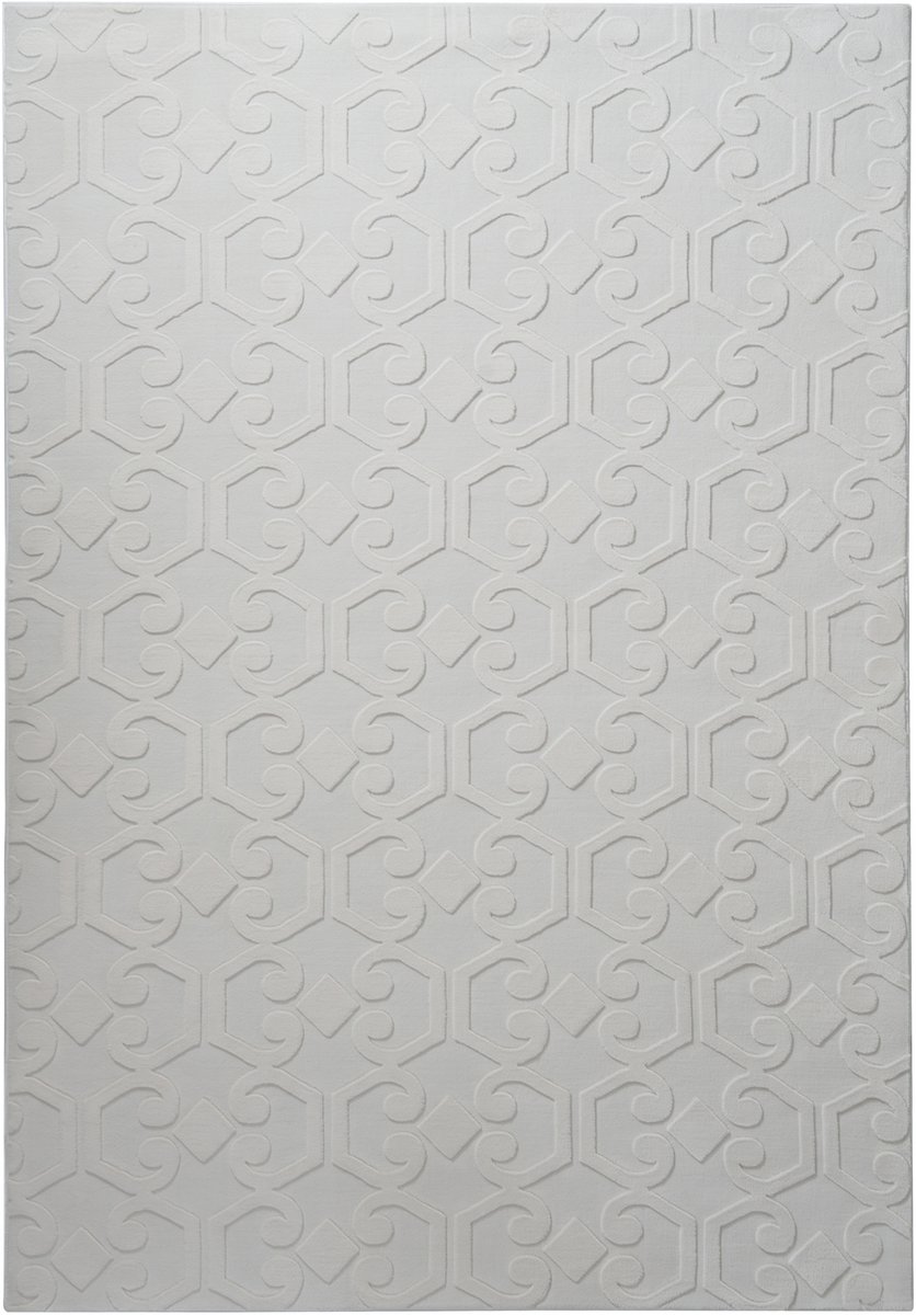 GANNETT - Vloerkleed - Lichtgrijs - 160 x 230 cm - Polyester
