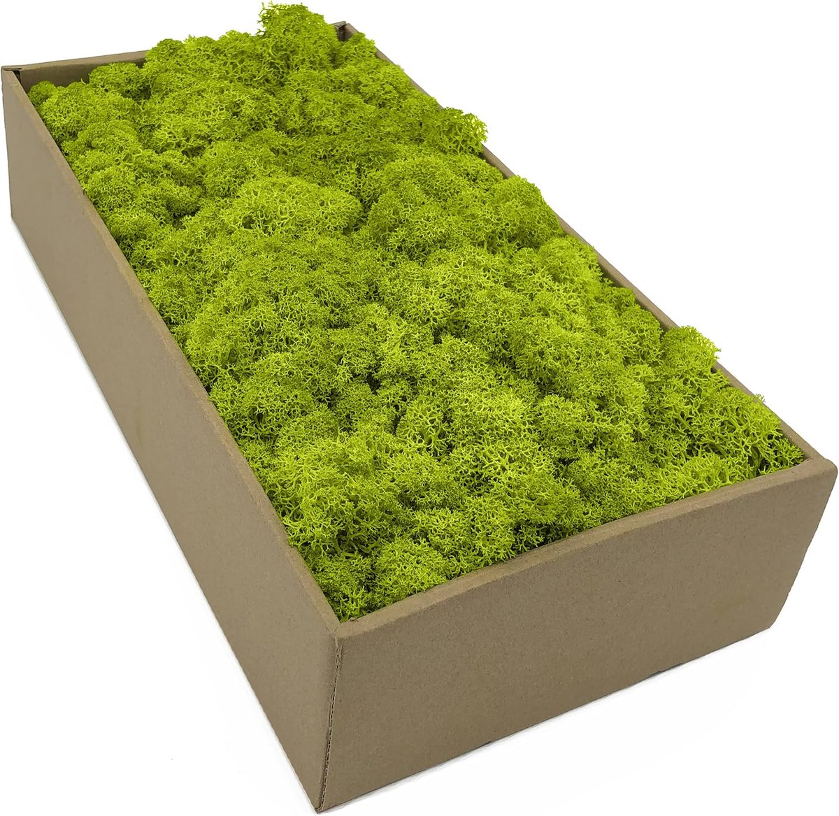IJslands Mos 500g - Natuurlijke Mos - 5 Kleuren - Perfect voor Mos Schilderijen - ShopVlot