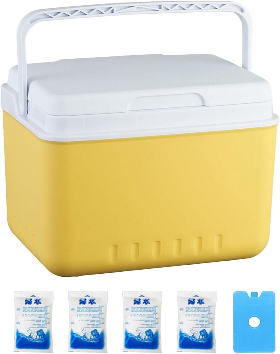 Kampeer Koelbox - Picknick Box Outdoor Koeler - Drankjes Koel Houden - Lekvrij Ontwerp - 6 Liter - Pebble