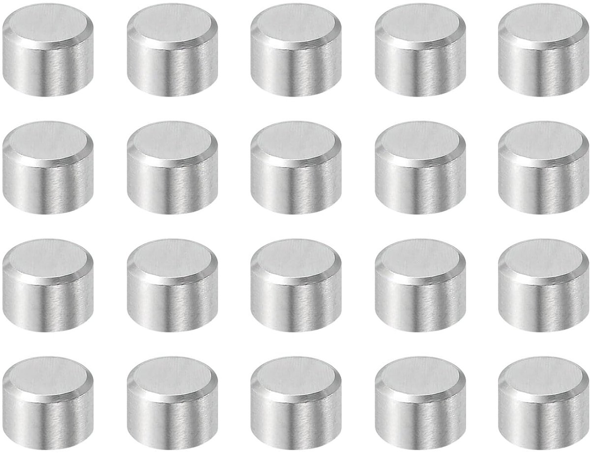 20 stuks 8 mm x 8 mm cilindrische pluggen, 316L roestvrij staal cilindrische pluggen houder planken elementenstang metalen bevestiging zilvertint