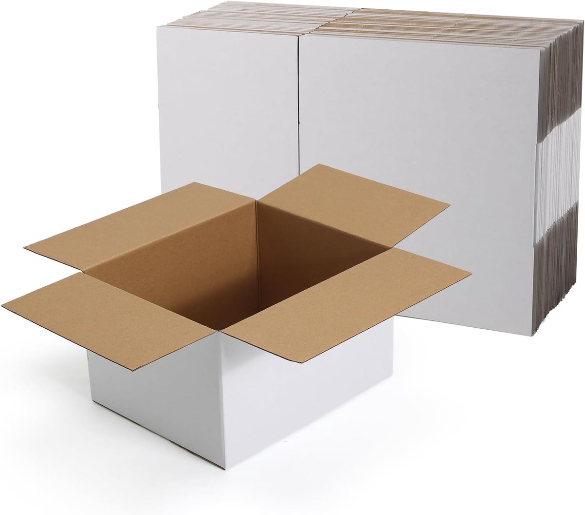 Verzenddozen, 25,4 × 20,3 × 15,2 cm, set van 25, wit