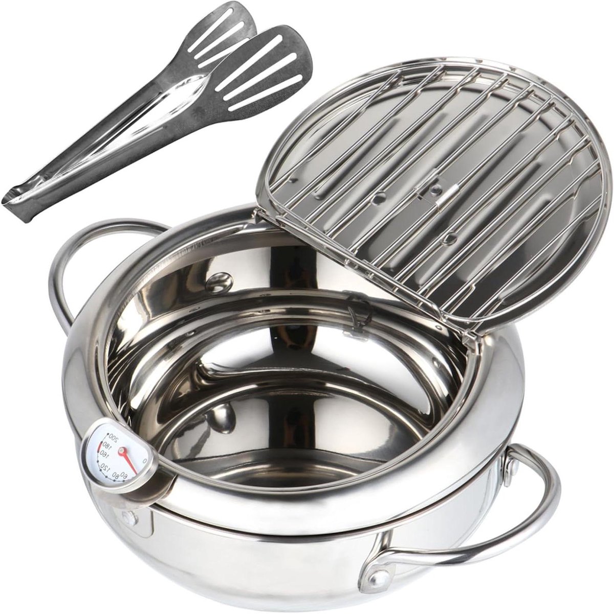Tempura Friteuse - Frituurpan Koekenpan - Thuis Frituren - Instelbare Temperatuur - 21 cm - Zilver