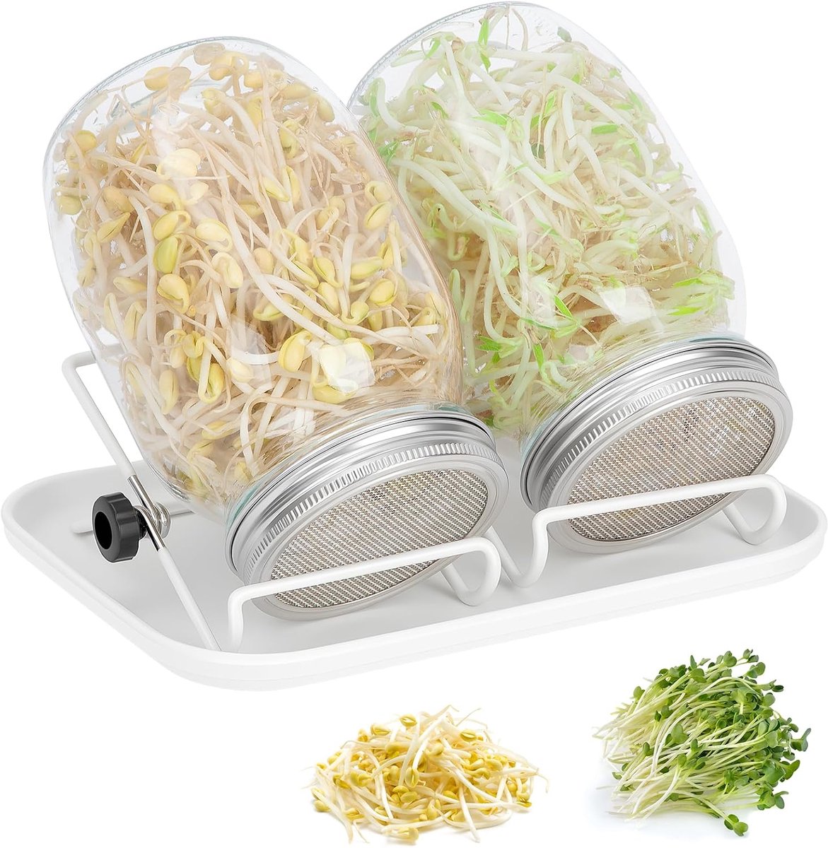Kiempot voor zaden van glas, 2 x 1000 ml, kiempot met deksel van roestvrij staal, verstelbare houder en witte dienblad, voor lenzen, alfalfa, mongobonen