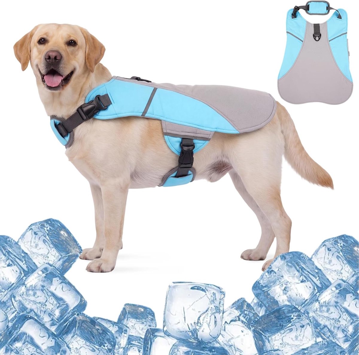 Koelvest voor honden voor kleine honden - ademend gaas met reflecterende strepen, verstelbaar zomerjack voor veilige wandelingen (blauw, S)