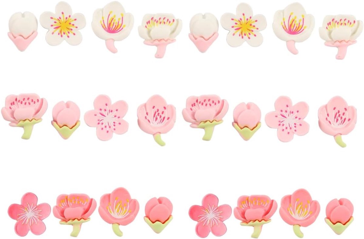 24 stuks schoenstekers, afneembare glitter-prikkers, doe-het-zelf hangerset, harsbloem voor doe-het-zelf schoenen, tassen en hoeddecoraties