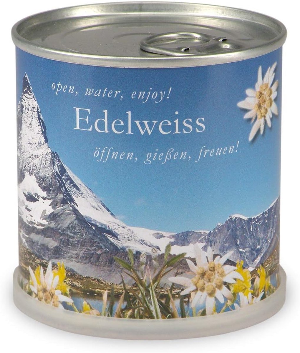 Canned flowers Alpenstern - Edelweiss - Ecologisch - Geniet van maanden bloemenplezier - ShopVlot