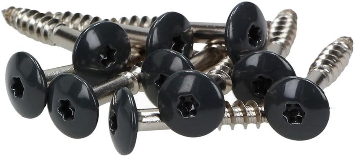 Gevelschroeven 0.5 x 38 mm - INOX V2A - Plat hoofd Torx T20 - Ideaal voor diverse platen - ShopVlot