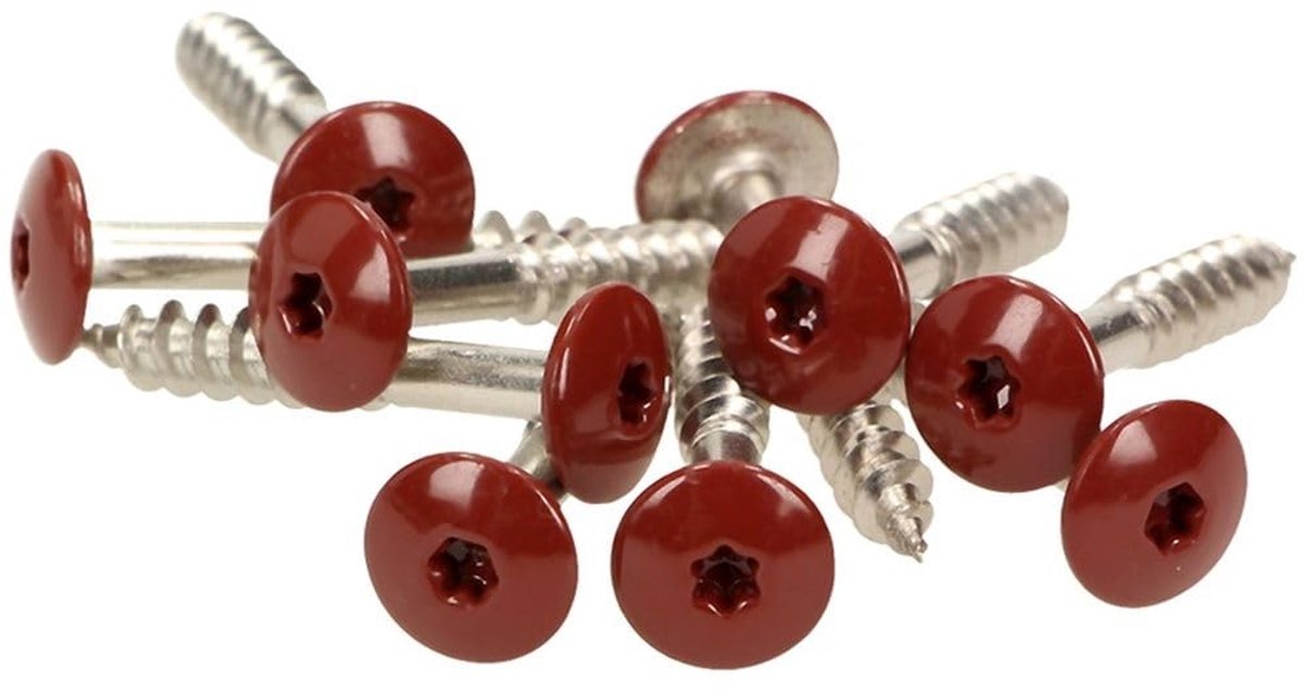 Facade schroeven 5.5 x 25 mm - Inox V4A - vlakke kop Torx T20 - ideaal voor gevels - ShopVlot