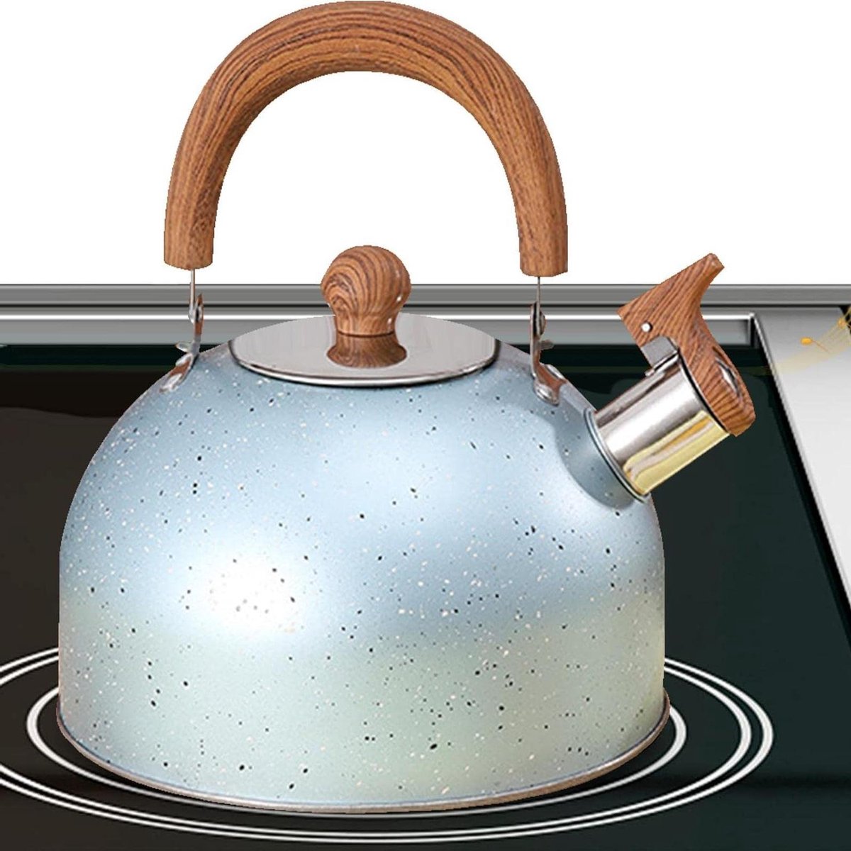 Waterkoker RVS - Theepot fluitketel - Dranken Bereiden - Hittebestendig Handvat - 2 Liter - Groen
