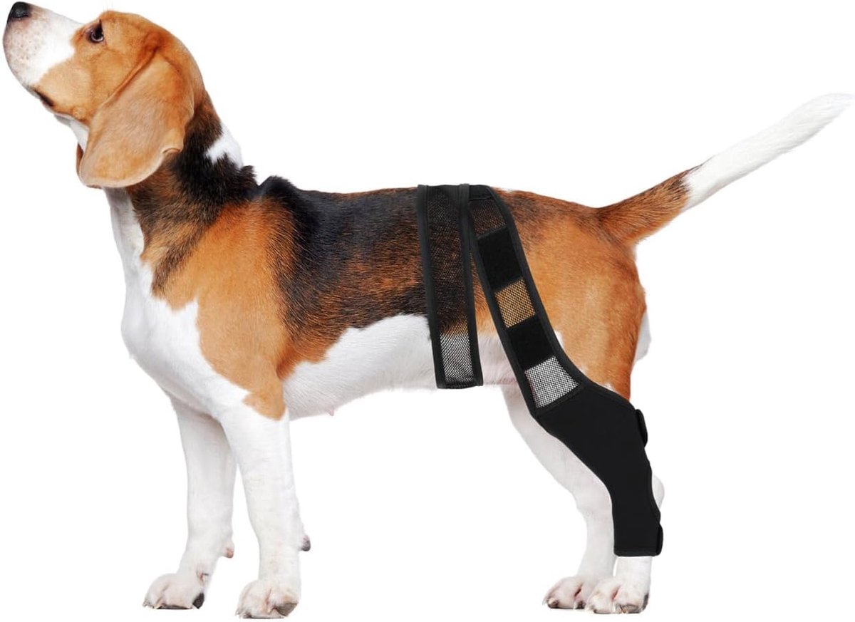 Neoprene Dog Leg Support for Hind Legs Elastic and Breathable Leg Protection for Injured Dogs Promotes Recovery and - ShopVlot