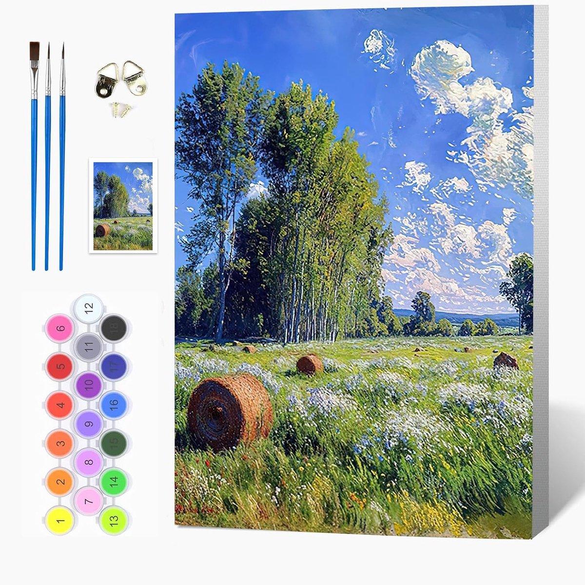 Auremi Landschap schilderen op nummer voor volwassenen, met lijst, natuur, knutselset voor volwassenen, canvas - ShopVlot