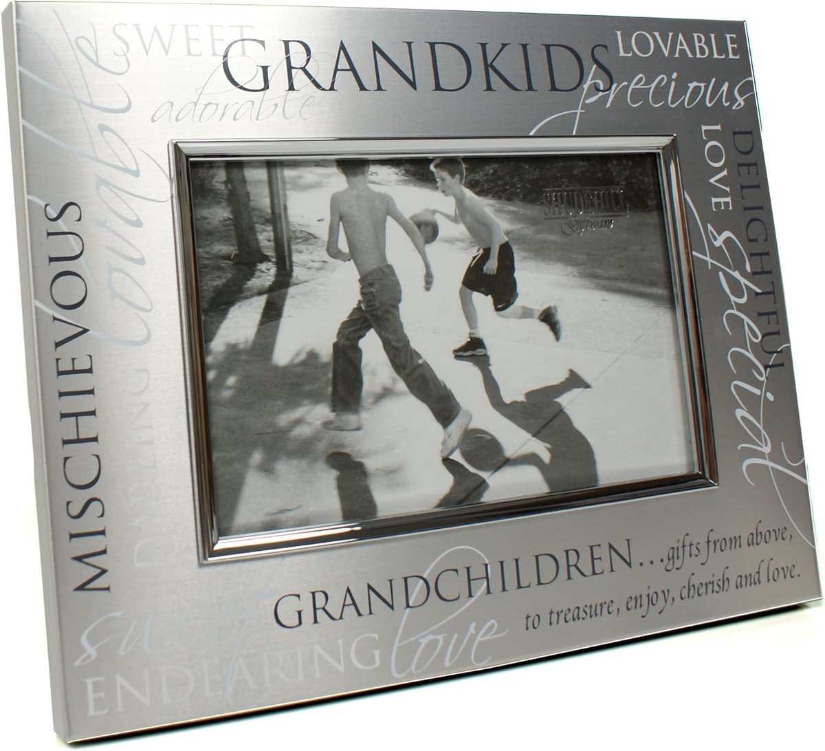Grandchildren Satin Silver photo frame - Grandchildren - ShopVlot