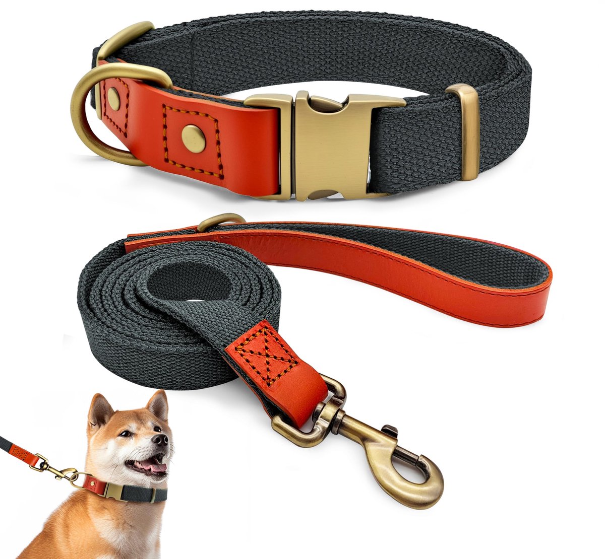 Halsband- en riemset L 38–58 cm - leer met nylon - blauw-zwart - comfortabel voor je hond - ShopVlot