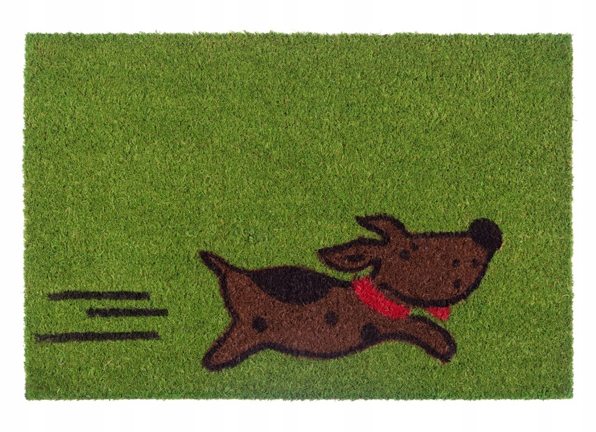 Galicja - Kokos Deurmat - 40x60 cm - Groen - Anti-slip