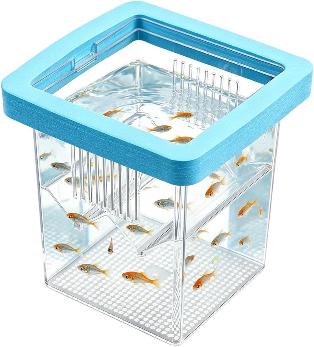 Kweekbak Aquarium - Broedincubator Vis - Vissen Kweken - Verstelbare Scheidingswand - 8.6 x 8.6 x 11 cm - Blauw