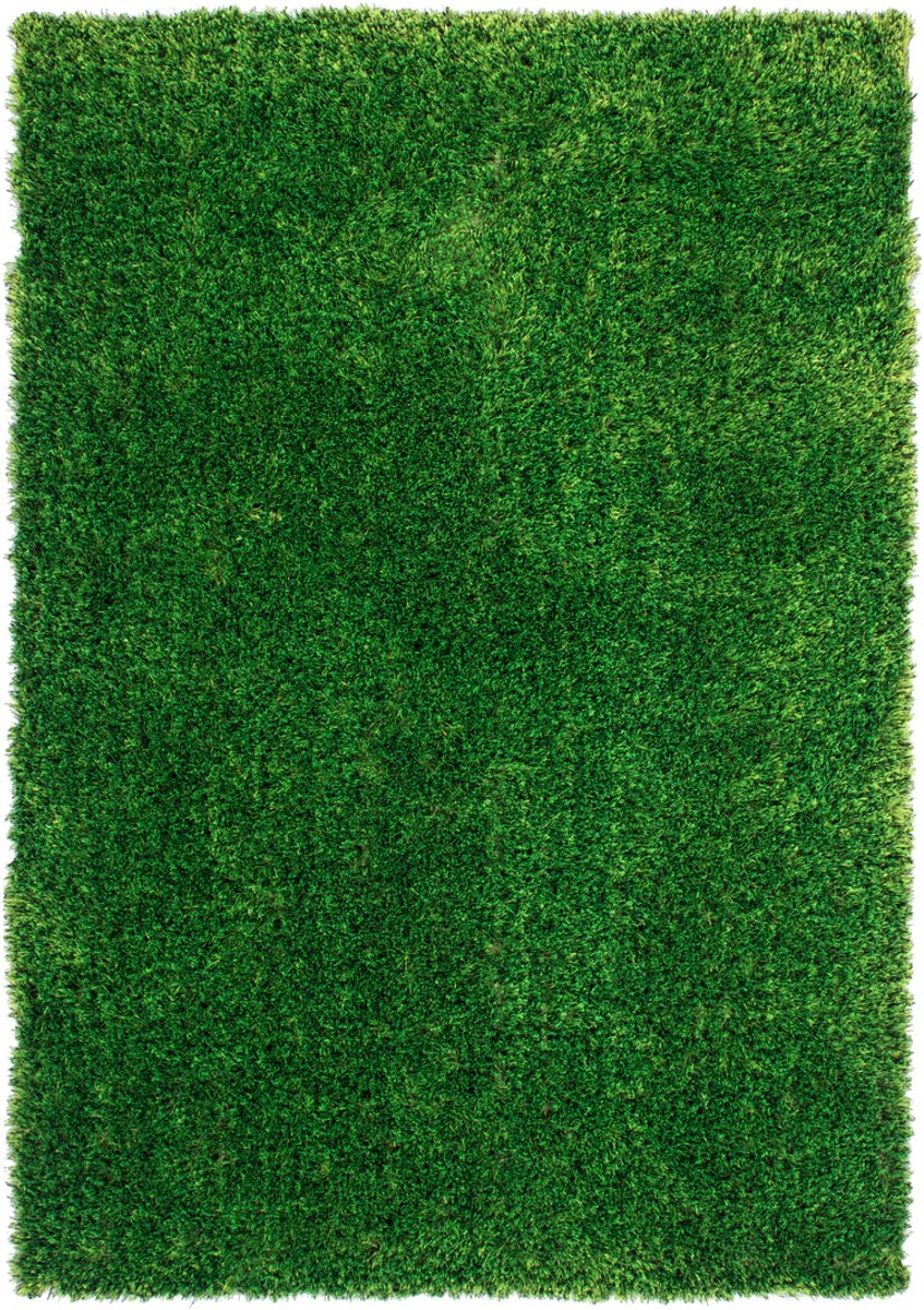 Padiro hoogpolig shaggy vloerkleed 200 x 290 cm - groen - modern effen design - met een zachte uitstraling - geschikt voor vloerverwarming - van polyester