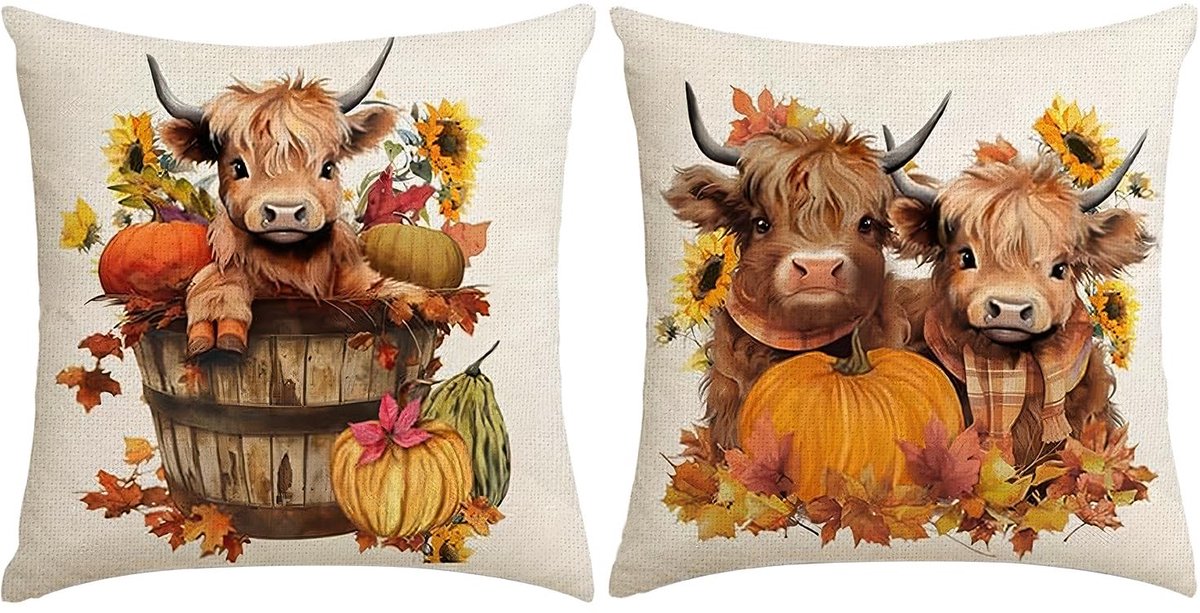 Solidchoice - 2 Stuks Highland Cow Kussenhoezen voor Decoratie