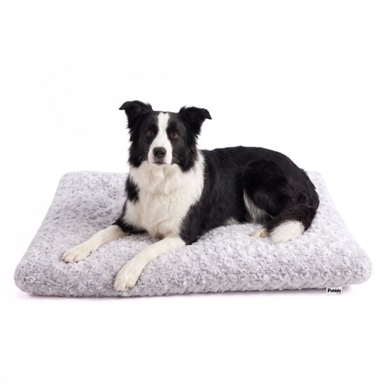 Border collie ligt op een grijs, roosvormig pluche hondenkussen.