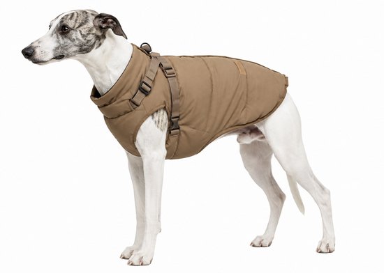 Bruine, gewatteerde jas met bruine banden om een whippet.