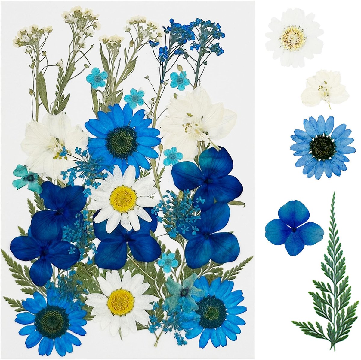 Solidchoice - 35 Stuks Gedroogde Bloemen voor Resin en DIY Sieraden