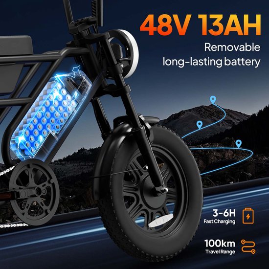 T16 16" x 3" elektrische fiets met uitneembare 48V 13Ah-accu — afbeelding 3