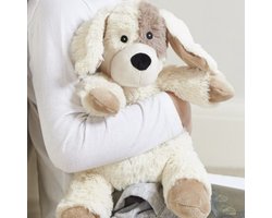 Medical Hot Hond
