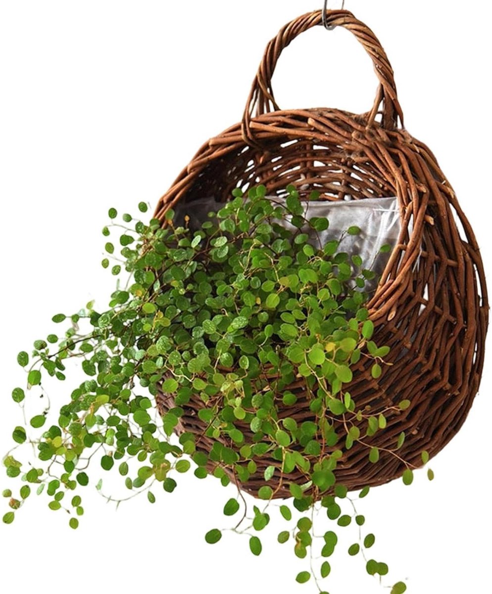 Geweven Wandmanden - Hangende Rotan Mand - Planten Decoratie - Handgeweven Natuurlijk - 28 x 12 x 28 cm