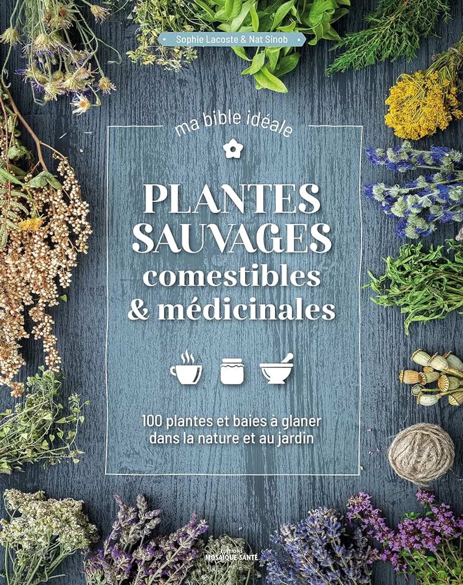 Plantes sauvages comestibles & médicinales: 100 plantes & baies à glaner dans la nature et au jardin
