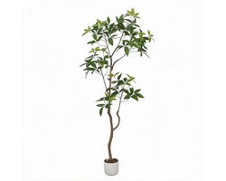 Danky - Kunst Schefflera Parapluboom 160cm - Kunstplant - Woonkamer