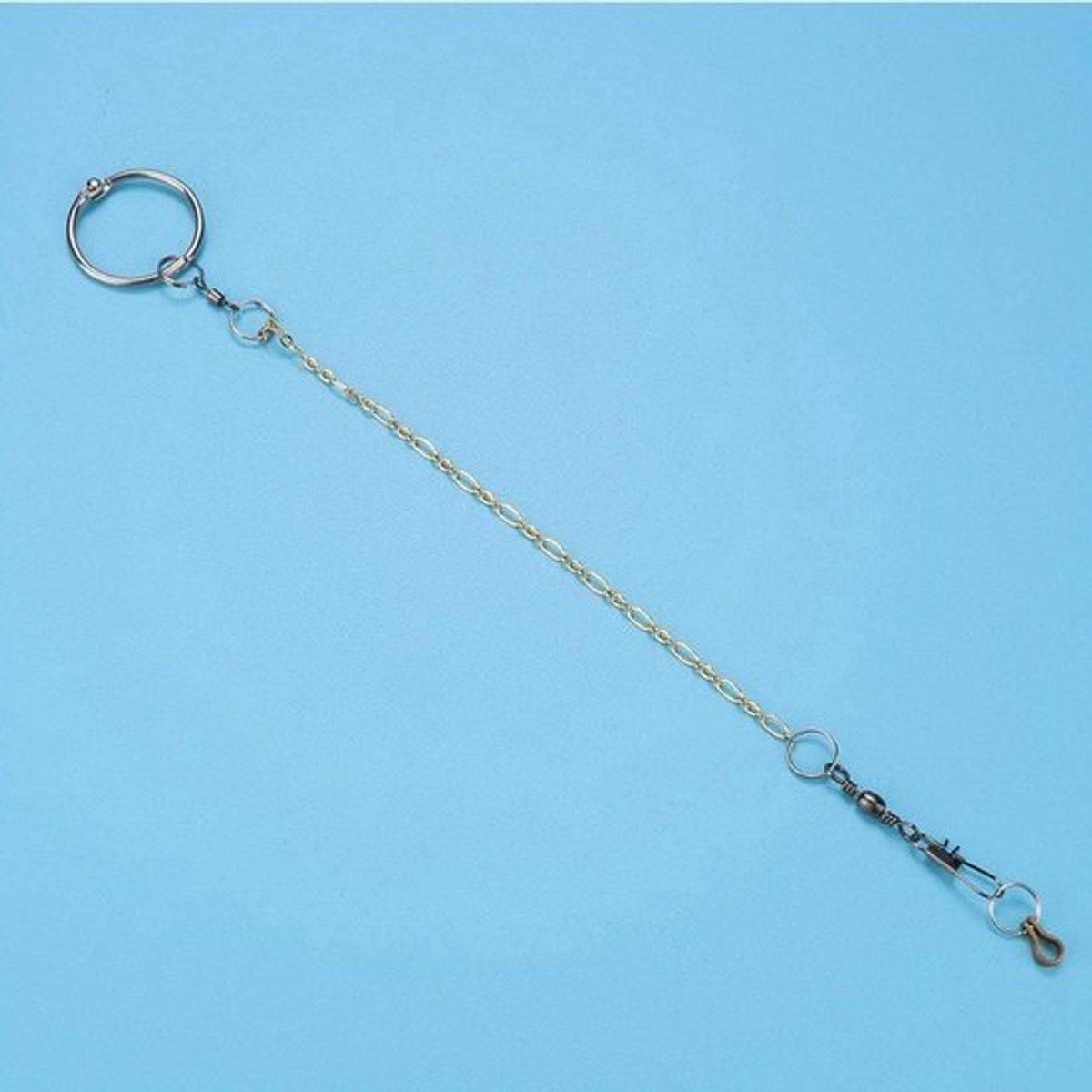 Roestvrijstalen vogelband met ring voor papegaaien - Voorkom wegvliegen met deze handige enkelring accessoires
