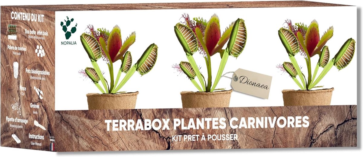 SnelShoppen - NOPALIA Carnivorous Plant Set - Dionée Flycatcher - Complete Set met Zaden, Potten, Veengebied en Accessoires - Origineel en Bijzonder C