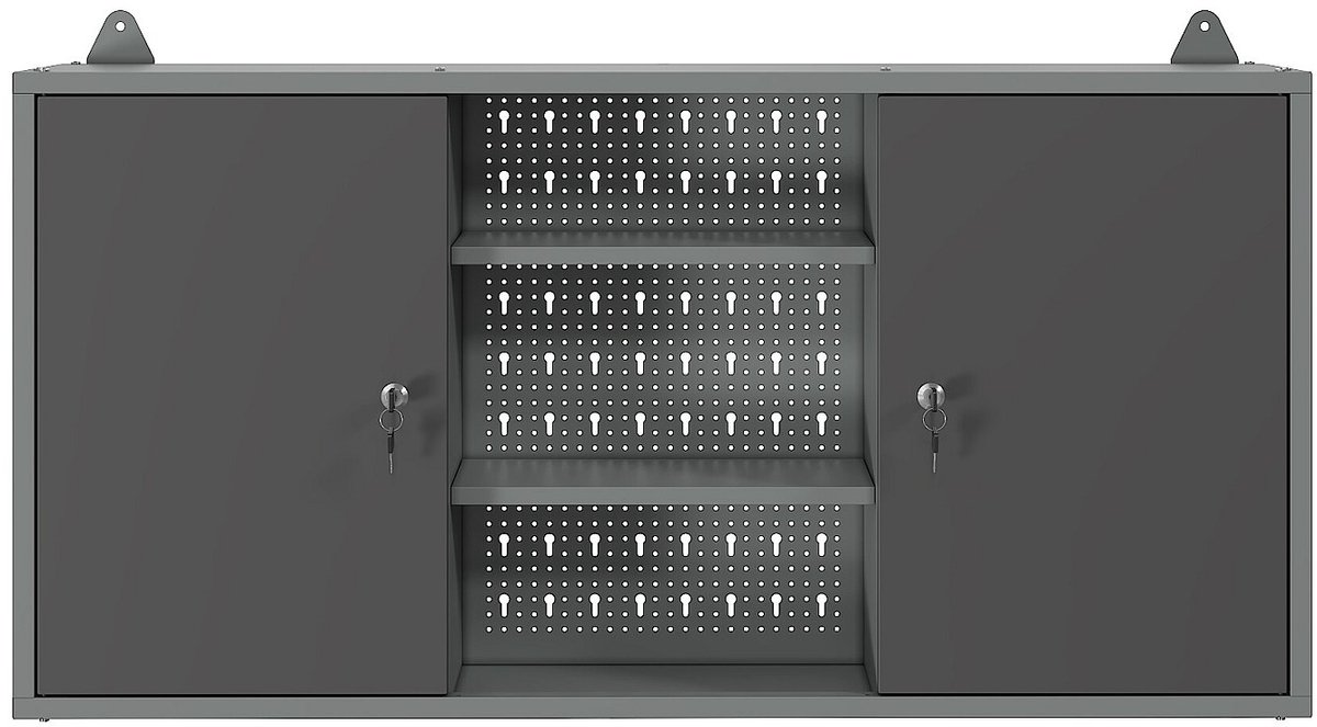 Vente-unique Wandkast voor werkplaats in staal - B120 x D20 x H60 cm - Grijs BRICANO