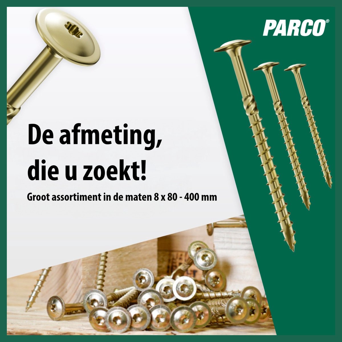 PARCO Tellerkopschroeven 8 x 260 mm Geel Verzinkt TX40 – Constructieschroeven met Platte Kop voor Houtbouw – 50 Stuks